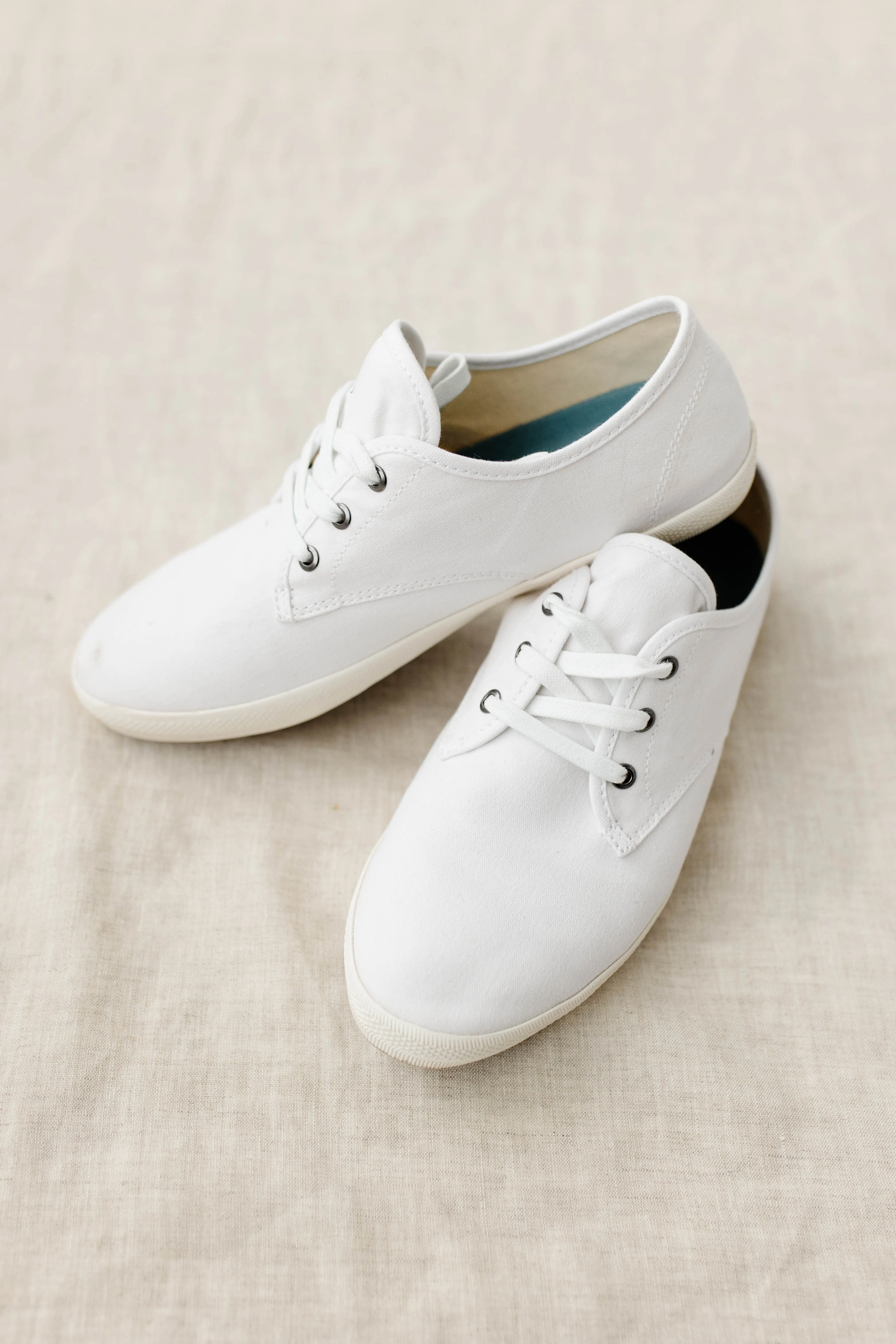 'Perth' Classic Canvas Sneakers in White FINAL SALE